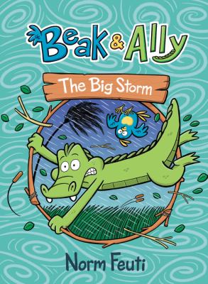 Beak & Ally. 3 The big storm Book cover