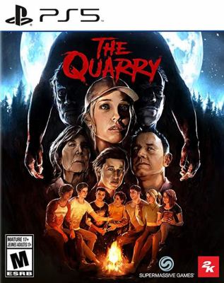 The quarry Book cover
