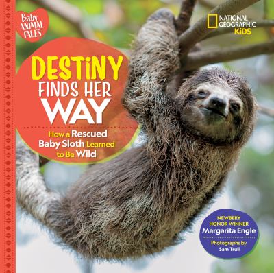 Destiny finds her way : how a rescued baby sloth learned to be wild Book cover