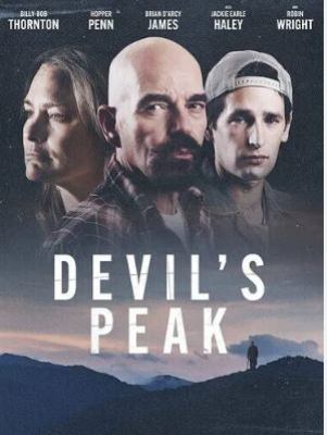 Devil's peak Book cover