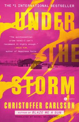 Under the storm : a novel Book cover