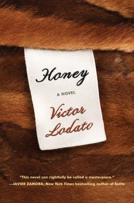 Honey : a novel Book cover